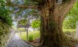 4 Bed in Outgate, Ambleside 7