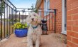 1 Bed in Woodbury 9