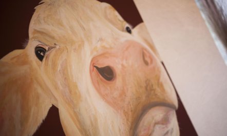 4 Bed in St. Ervan 9
