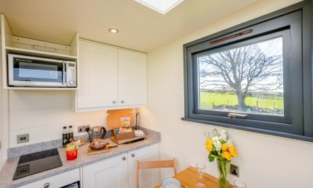 1 Bed in Ponsonby 7