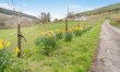 3 Bed in Cwmtaf 1