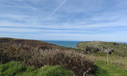 3 Bed in Tintagel 6