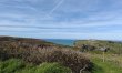 3 Bed in Tintagel 6