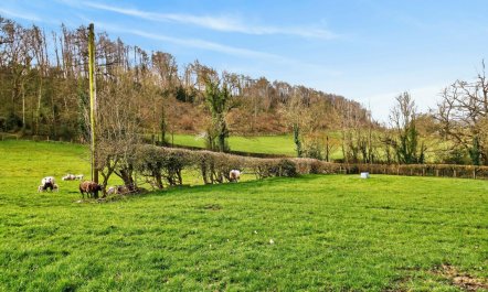 4 Bed in Llansantffraid 1