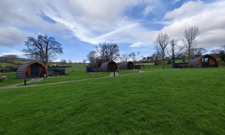 1 Bed in Tyn-y-Groes 1