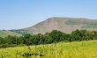 1 Bed in Castleton 7