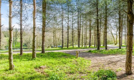 1 Bed in Edgefield 6