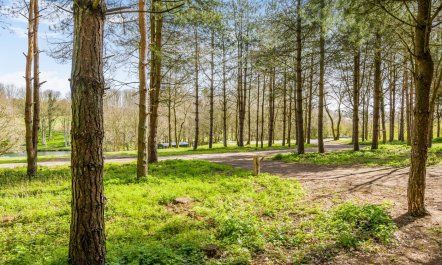 1 Bed in Edgefield 4