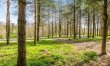 1 Bed in Edgefield 4