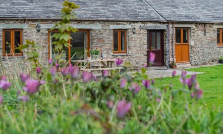 2 Bed in St. Ervan 4