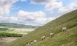 1 Bed in Mosedale 6