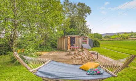 1 Bed in Velindre
