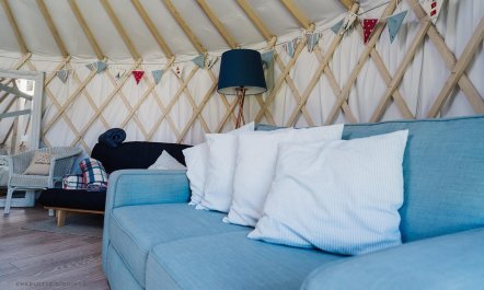 3 Bed in Bronington 4
