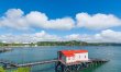 1 Bed in Tenby 9