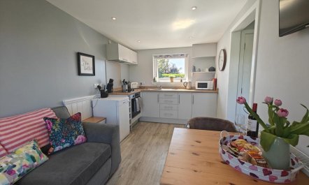 1 Bed in Gatehouse Of Fleet 5