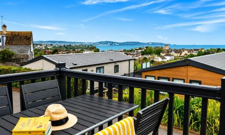 2 Bed in Paignton 5