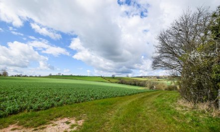 2 Bed in Whitbourne 4