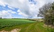 2 Bed in Whitbourne 4