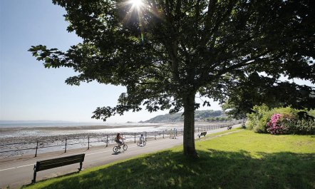 3 Bed in Mumbles 9