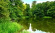 2 Bed in Ticknall 4