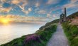 2 Bed in Mount Hawke 3