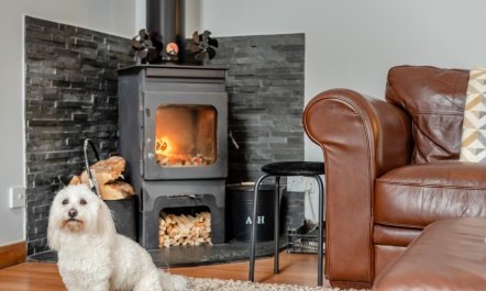 2 Bed in St. Fillans 8