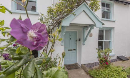 3 Bed in Appledore