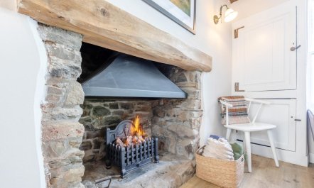 3 Bed in Appledore 9