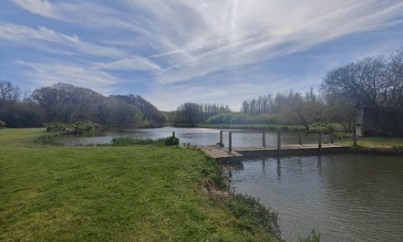 1 Bed in St. Issey 8