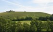2 Bed in Sydling St. Nicholas 6