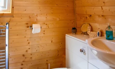 1 Bed in Brynsiencyn 5