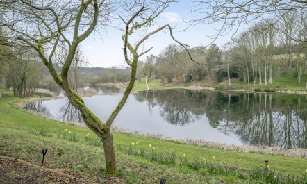 1 Bed in Edgefield 7
