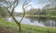 1 Bed in Edgefield 7