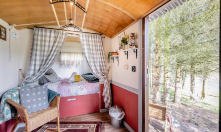 1 Bed in Edgefield 7