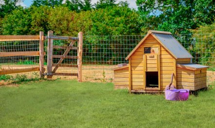 1 Bed in Brockenhurst 7