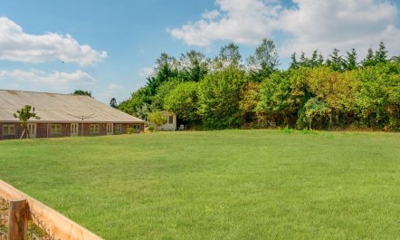 1 Bed in Brockenhurst 6