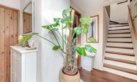 2 Bed in Marldon 9