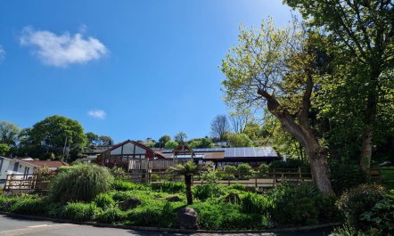2 Bed in Goldenbank 8