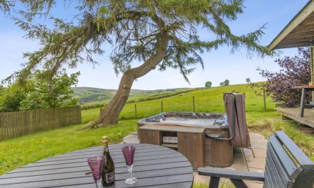 4 Bed in Beguildy 4