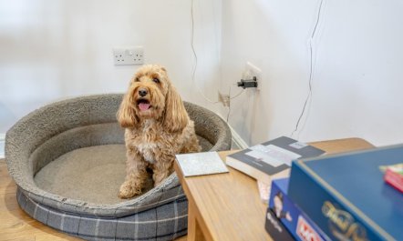 3 Bed in Underskiddaw 9