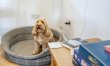 3 Bed in Underskiddaw 9