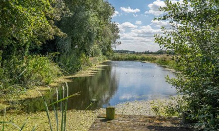 3 Bed in Acle 3