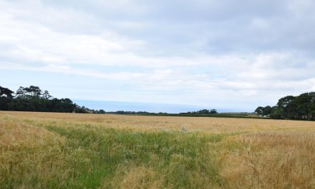 3 Bed in Rousdon 6