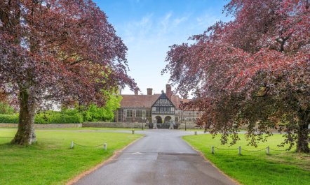 3 Bed in Rousdon 4