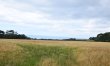 3 Bed in Rousdon 6