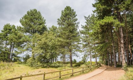 2 Bed in Holkham 5
