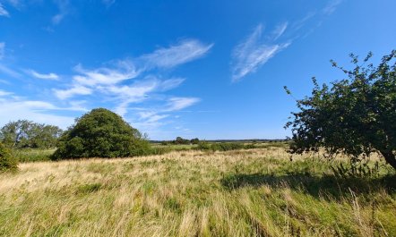 2 Bed in Holkham 2