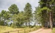 2 Bed in Holkham 5