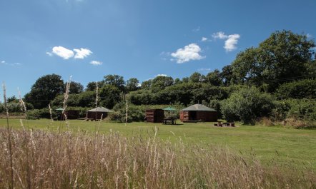 1 Bed in Blackborough 9