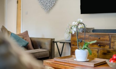 3 Bed in Great Waldingfield 8